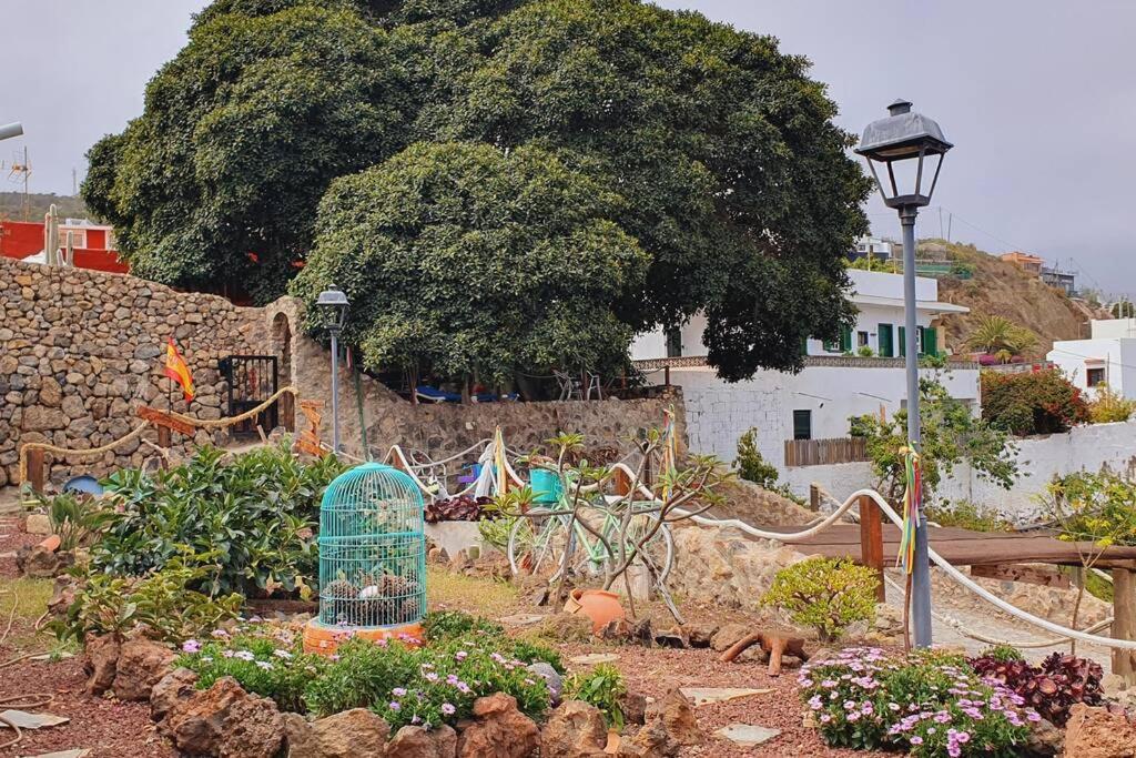 La Bodeguita Apartamento Santo Domingo La Guancha Exteriör bild